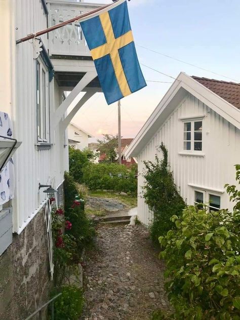 Swedish Aesthetic, Sweden Aesthetic, Sweden Flag, Scandinavian Lifestyle, Scandinavian Aesthetic, Sweden Travel, Pinterest Aesthetic, Europe Summer, Copenhagen Denmark