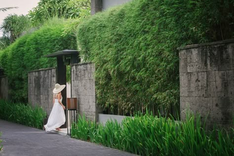 The spectacular Alila Villas Soori in Bali, Indonesia \\  www.theperfecthideaway.com Bali Villa Entrance, Bali Landscape Design, Soori Bali, Villa Gate, Bali Home, Villa Bali, Pool Landscape Design, Entrance Gates Design, Compound Wall