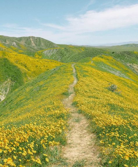 California Roadtrip Aesthetic, Hiking In California, San Francisco Hikes, Hikes In California, Hiking California, Nature California, San Diego Hiking, California Waterfalls, La Hikes