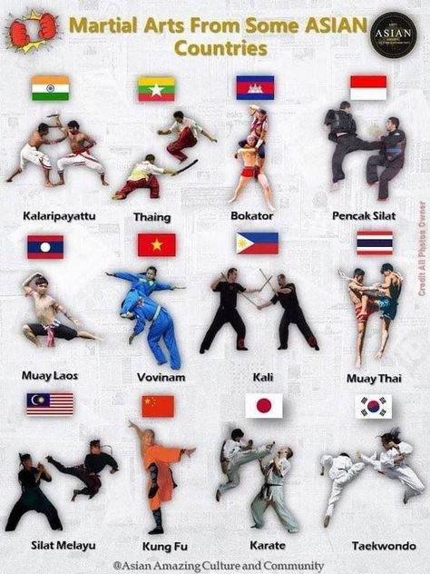 Random Charts And Maps All Martial Arts, Ekko League Of Legends, Different Martial Arts, Random Knowledge, Self Defence Training, Trening Sztuk Walki, Self Defense Martial Arts, Karate Martial Arts, Pencak Silat