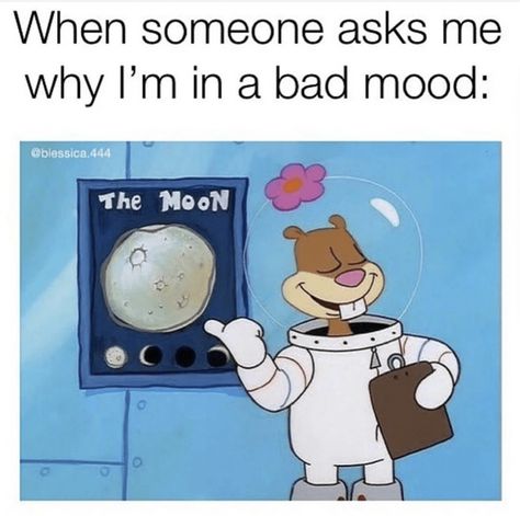 I love the moon and the moon loves me #moon #astrology #moonmemes #memes #astrologymemes Memes For Him, Budget Help, Smart Goal Setting, Dark Jokes, Dark Memes, Mercury Retrograde, Bad Mood, Meme Faces, Animal Memes