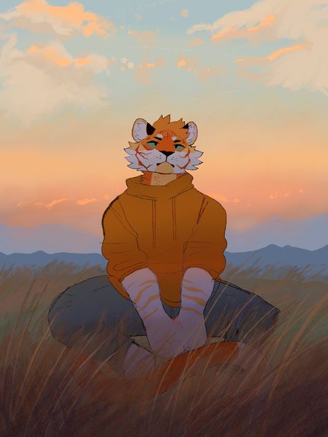 A Tiger, Website Link, Meditation, Twitter