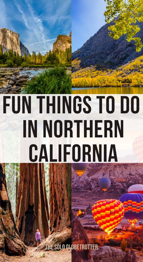 There are many incredible things to do in northern California, with something available for everyone, making it a perfect destination, whether you are looking for a quick weekend getaway with your kids or romantic trips or want to spend your holiday exploring the abundant outdoors Northern California has to offer.This post helps you with all places to visit in northern California, top attractions and offbeat activities,the best time to visit Ca and helpful tips to plan your fabulous trip! Best Places To Visit In California, Northern California Family Vacation, Things To Do Northern California, California Coastline Road Trip, North California Travel Road Trips, North California Road Trip, Weekend Getaway Ideas California, Cazadero California, California Weekend Trips