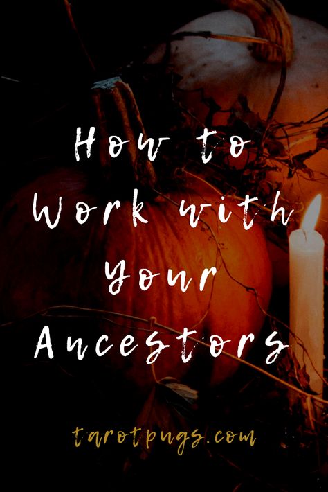 ancestors, affirm your intention aloud or firmly in your mind that you’re seeking guidance directly from your ancestors.   If you read intuitively, you may feel a shift in the energy or tone of the messages that are received.   When working with ancestors and tarot/oracle cards, keep a section separate in your tarot or divination journal and reserve it for ancestral work only. Spells To Connect With Ancestors, How To Call Your Ancestors, Working With Ancestors, Ancestoral Work, Ancestor Work Witchcraft, Ancestor Ritual, Ancestral Witchcraft, Divination Journal, Ancestral Veneration