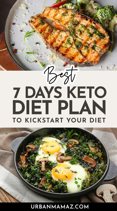 Keto Diet Plan Vegetarian Keto, Best Keto Diet, Best Diet Plan, Health Recipes, Healthy Low Carb Recipes, Low Carb Meals Easy, Healthy Diet Plans, Keto Meal, What To Eat