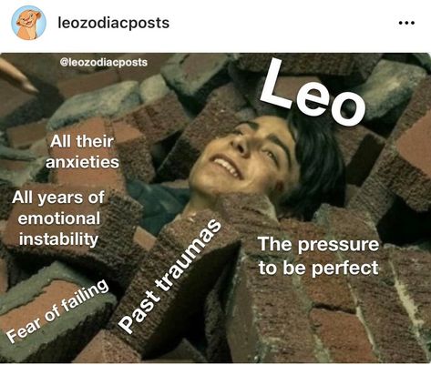 Leo Zodiac Quotes, Leo Star Sign, Leo Quotes, Leo Zodiac Facts, Leo Star, Leo Traits, Astrology Leo, Zodiac Funny, Leo Women