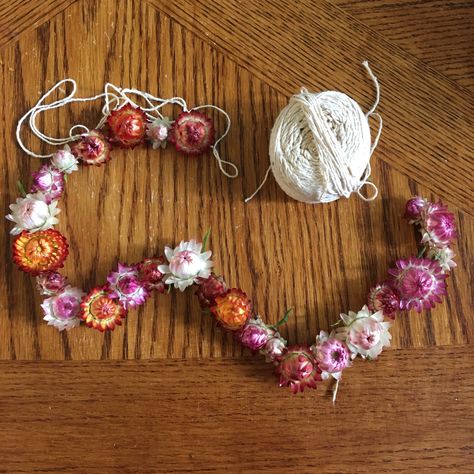 Dried Floral Wreath Simple, Dried Strawflower Ideas, Dried Straw Flowers Craft, Straw Flower Garland, Dried Flowers Garland, Dried Strawflower Craft, Dried Flower Garland Diy, Straw Flowers Craft, Strawflower Crafts