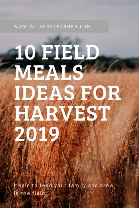 10 Field Meals Ideas for Harvest 2019 Culinary Club Ideas, Farm Meals, 2023 Meals, Field Meals, Meal Train Recipes, Meals Ideas, Farm Wife, Work Meals, Harvest Recipes