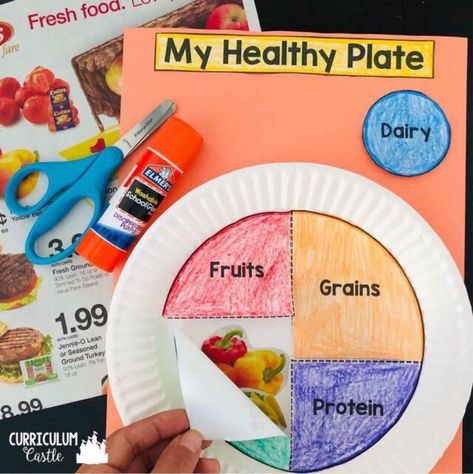 My Healthy Plate, Nutrition Pyramid, Cake Courgette, Nutrition Activities, Nutrition Motivation, Healthy Plate, Nutrition Sportive, Food Activities, Food Groups