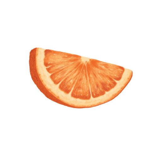 Illustrated fruit, fruit illustration, orange slice drawing by illustrator and artist Kristy Good Fruit Slices Drawing, Orange Slice Illustration, Orange Fruit Drawing, Orange Slice Drawing, Orange Fruit Illustration, Orange Drawing, Orange Clipart, Fruit Drawing, Fruit Fruit