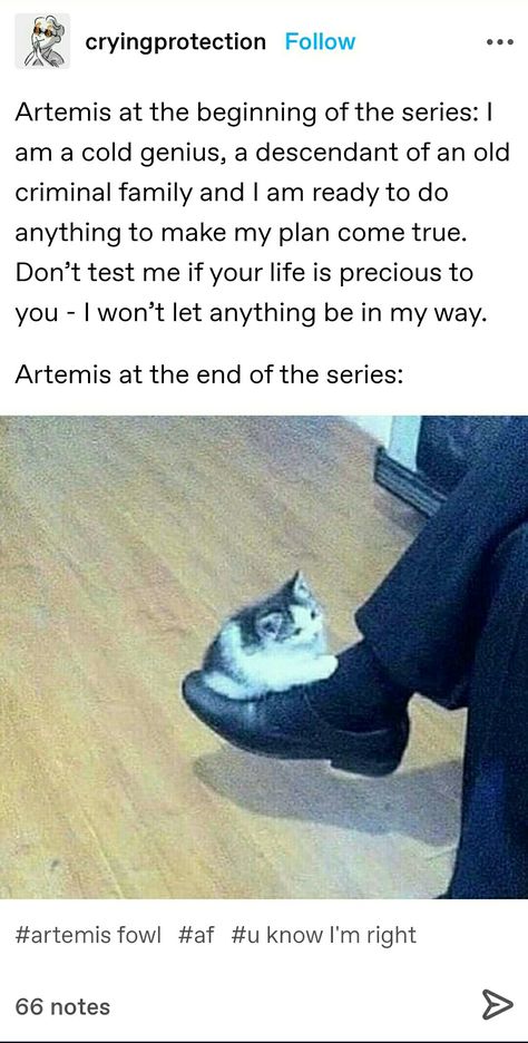 Artemis Fowl Funny, Artemis Fowl, Spy Kids, Fairy Friends, Hello Kitty Iphone Wallpaper, Mood Humor, Book Memes, Book Bundles, Book Fandoms