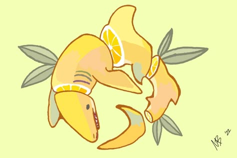 Lemon Shark Mermaid, Lemon Shark Drawing, Lemon Shark, Shark Drawing, Fruit Animals, Animal Illustration Art, Shark Art, Animal Doodles, Cute Shark