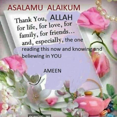 Asalaamu Alaikum Greetings, Assalamu Alaikum Images, Good Human Being Quotes, Greetings In English, Happy Friday Morning, Daily Duas, Jumah Mubarak, Muslim Greeting, Islamic Poster