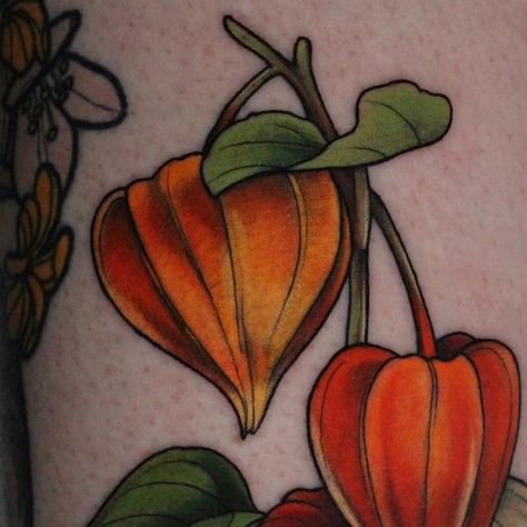 Amélie Fleury on Instagram: "🧡 Physalis / ground cherries 🌱 thank you so much Natalie ! #neotrad#neotraditional#neotraditionaltattoos#neotraditionaltattooers#illustrativetattoo#mtltattoo#mtltattooartist #botanicaltattoo#ladytattooers#montrealtattooartist" Fall Tattoo, Ground Cherries, Cherry Tattoo, Cherry Tattoos, Botanical Tattoo, Skull Drawing, Neo Traditional, August 10, Piercing Tattoo