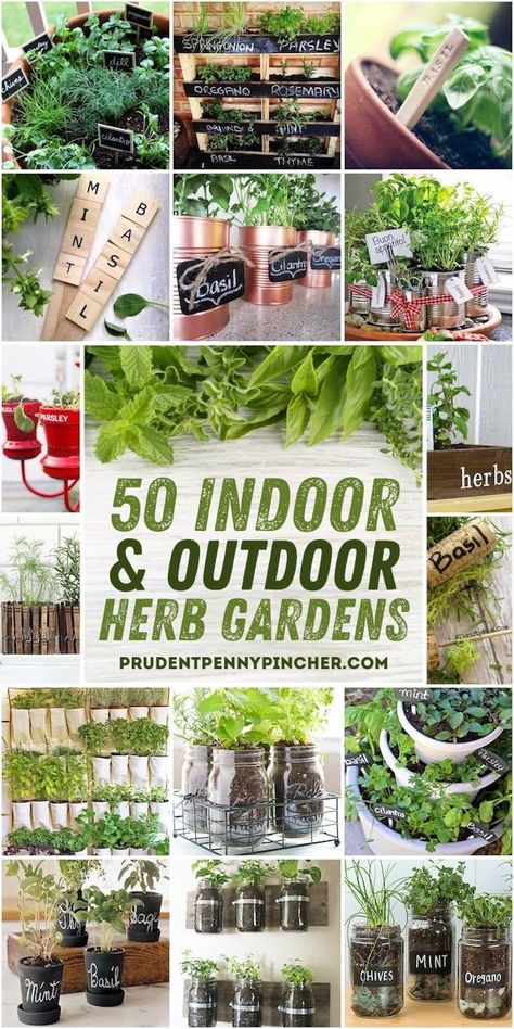 Diy Herb Garden Ideas, Easy Garden Ideas Landscaping, Herb Diy, Herb Garden Markers, Herb Garden Pots, Small Herb Gardens, Outdoor Herb Garden, Hanging Herb Garden, Herb Garden Ideas