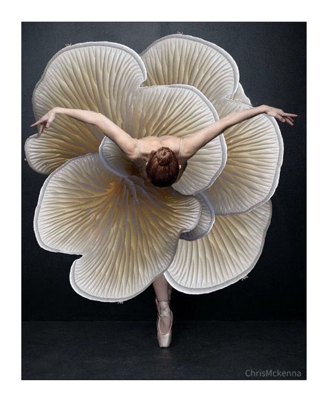 Mushroom Ballerina Christmas Ballerina, Ballerina Aesthetic, Ballerina Photography, Couture 2024, Ballet Painting, Ballet Pictures, Dance Photography Poses, Ballerina Art, Ballet Poses