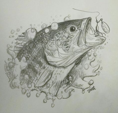 Largemouth Bass in pencil. Hunting Pencil Drawing, Bass Jumping Out Of Water Drawing, Largemouth Bass Drawings, Striped Bass Drawing, Sketchbook Art Inspiration Animals, Mahi Mahi Drawing, Fish Realistic Drawing, Bass Drawing Fish, Large Mouth Bass Drawing