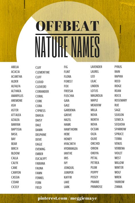 Imgur: The most awesome images on the Internet Nature Names, Baby Name List, Writing Characters, Name List, Writing Resources, Writing Advice, Story Writing, Character Names, Natural Baby