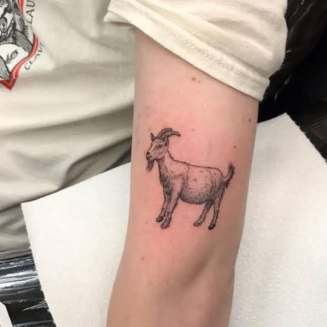 Tattoo Goat, Goat Tattoo, Red Bird Tattoos, Wildlife Tattoo, Bike Tattoos, Scorpion Tattoo, Dope Tattoos For Women, Small Hand Tattoos, Cute Tattoos For Women