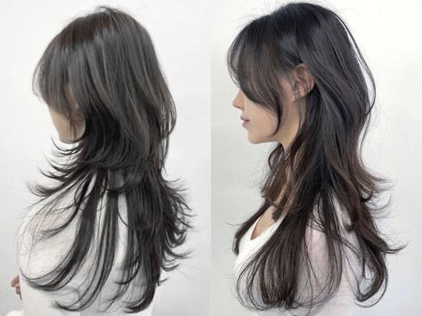 Wolfcut Hair Long Reference, Jelly Fish Haircut Long Korean, Jelly Fish Cut Long, Jellyfish Haircut Long Straight, Hush Cut Back View, Long Hair Jellyfish Haircut, Hush Cut Long Hair Straight, Long Hush Cut Straight Hair, Jellyfish Cut Long Hair