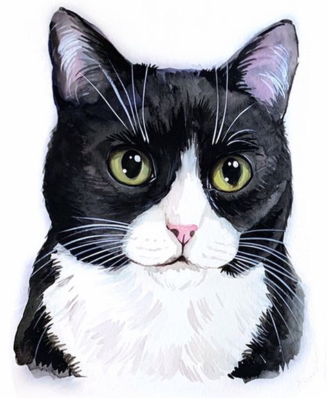 Watercolor Tuxedo Cat, Black Cat Watercolor Paintings, Cats Painting Easy, Cat Drawing Anatomy, Drawing Base F2u, Cat Drawing Base, Cat Drawing Aesthetic, Cat Drawing Black And White, Black And White Cat Painting