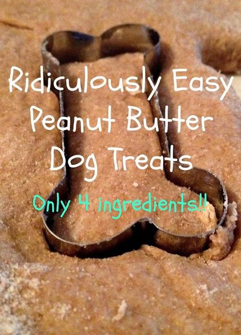 The Simple Life: Ridiculously Easy Peanut Butter Dog Treats Like this. Homemade Peanut Butter Dog Treats Recipe, Rambo 3, Dog Treat Recipe, Peanut Butter Dog Treats, Fu Dog, Food Dog, Diy Dog Treats, Puppy Treats, Easy Peanut Butter