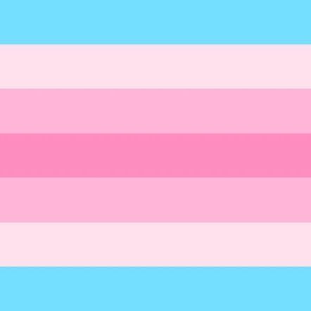 Trans Feminine Flag, Transfemme Flag, Transfem Flag, Xeno Flags, Genderfluid Flag, Collective Identity, Nonbinary People, Trans Pride Flag, Trans Flag