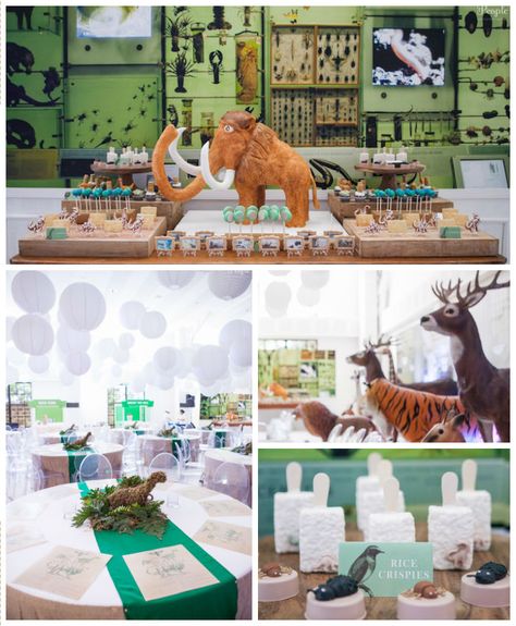 Museum Birthday Party Ideas, Night At The Museum Theme Party, Night At The Museum Party Ideas, Night At The Museum Birthday Party, History Party Theme, Museum Theme Party, Museum Party Theme, History Themed Party, Night At The Museum Party