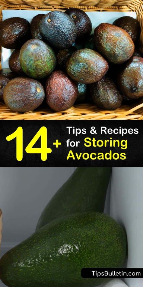 Pretend you’re picking ripe avocados right off the tree with these storage tips using plastic wrap, lemon juice, and lime juice on unripe avocados. Find out how storing avocados at room temperature is the best way to never throw away an avocado again. #howto #store #avocados How To Keep Avocados Fresh Longer, Store Avocado, Store Veggies, Salad Storage, Veggie Storage, How To Store Avocado, Unripe Avocado, Storing Produce, Avocado Recipes Healthy