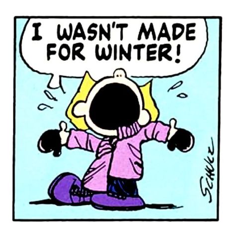 Snoopy Nation | Not everyone is a fan of WINTER | Facebook Peppermint Patty Peanuts, Snoopy Friday, Winter Humor, Snoopy Birthday, Peppermint Patty, Good Morning Funny Pictures, Snoopy Images, Peanuts Cartoon, Snoopy Quotes