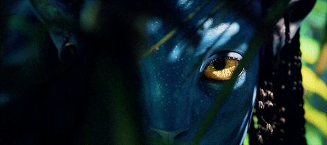 Gif Avatar, Avatar Banner, Avatar Gif, Avatar Neytiri, Avatar Film, Avatar James Cameron, Avatar Films, Avatar 2, Septième Art