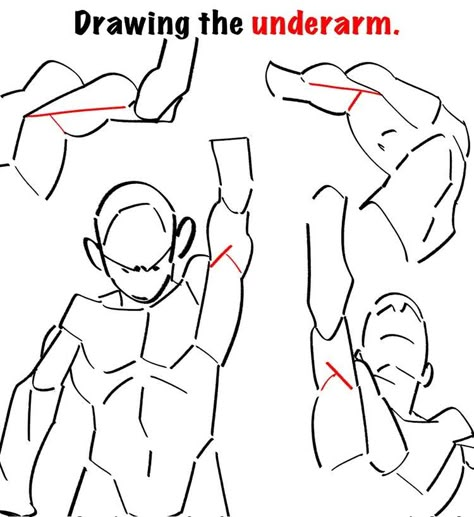 Drawing Arms, Body Drawing Tutorial, Human Anatomy Drawing, Human Anatomy Art, Anatomy Sketches, Body Reference Drawing, Anatomy References, Art Help, Anatomy Drawing