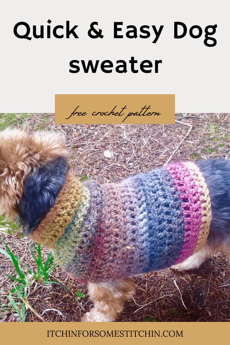 This quick and easy small dog crochet sweater pattern is perfect for making your little fur babies a warm and stylish coat for those chilly autumn & winter months. Plus, it so easy to make! Even for crochet beginners. Whip one up for your precious pet today! Click to get the free pattern. Crochet Wiener Dog Sweater Free Pattern, Free Crochet Dog Coat Pattern, Easy Crochet Dog Sweater Simple, Crochet Dog Coat Free Pattern Easy, Easy Small Dog Sweaters Crochet Free, Simple Dog Sweater Crochet Pattern, Chunky Crochet Dog Sweater, Easy Dog Sweater Pattern, Simple Crochet Dog Sweater Free Pattern