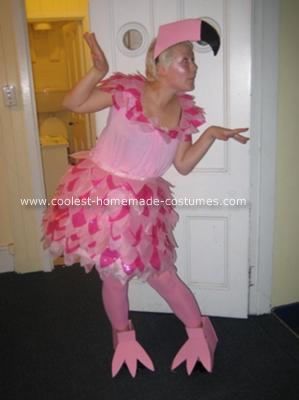 Homemade Flamingo Costume: I made this Homemade Flamingo Costume for a party themed Lost in the Wild. I designed the skirt making the base with hooped cardboard and cellophane and Diy Party Costumes, Halloween Costume Patterns, Best Costume Ever, Flamingo Costume, Animal Halloween Costumes, Skirt Making, Flamingo Theme, Bird Costume, Pink Tights