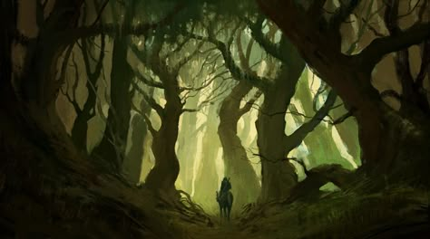 ArtStation - jungle_speed painting, Mohammad Noureddini Forest Sunset, Speed Painting, Forest Illustration, Fantasy Forest, Art Green, Forest Art, Matte Painting, High Fantasy, Magical Forest