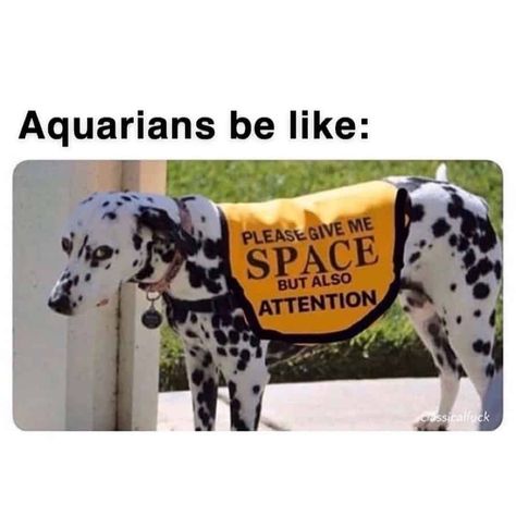 Funny Aquarius, Aquarius Funny, Aquarius Personality Traits, Aquarius Personality, Aquarius Astrology, Aquarius Traits, Aquarius Life, Aquarius Truths, Speak Your Mind