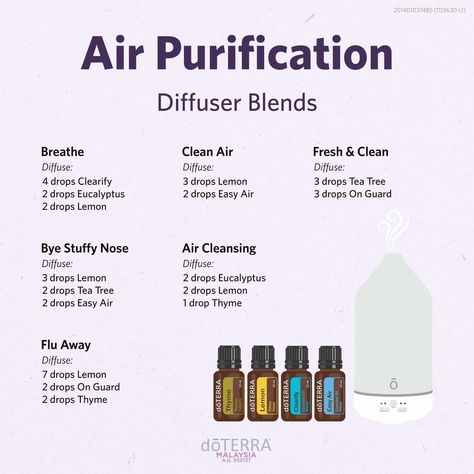 Essential Oils Clean Air, Clean Home Essential Oil Diffuser Blends, Diffuser Blends For Clean Air, Diffuser Clean Air, Doterra Air Purifying Diffuser Blend, Air Cleansing Diffuser Blend, Doterra Air-x Diffuser Blends, Essential Oil To Clean The Air, Essential Oils For Clean Air