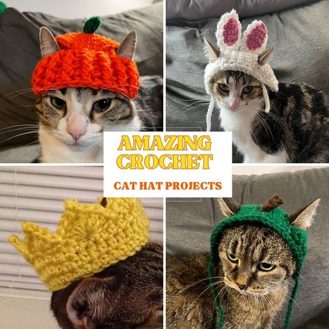 Crochet Cat Hat: 18 Free Patterns - Fosbas Designs Free Crochet Hat For Cat, Crochet Cat Hats Free Patterns, Beanie For Cats Crochet Pattern Free, Knit Hat For Cat, Cat Beret Crochet Pattern Free, Crochet Animal Clothes Free Patterns, Crochet Hat For A Cat, Crochet Beanie For Cat, Cat Accessories Crochet Pattern Free