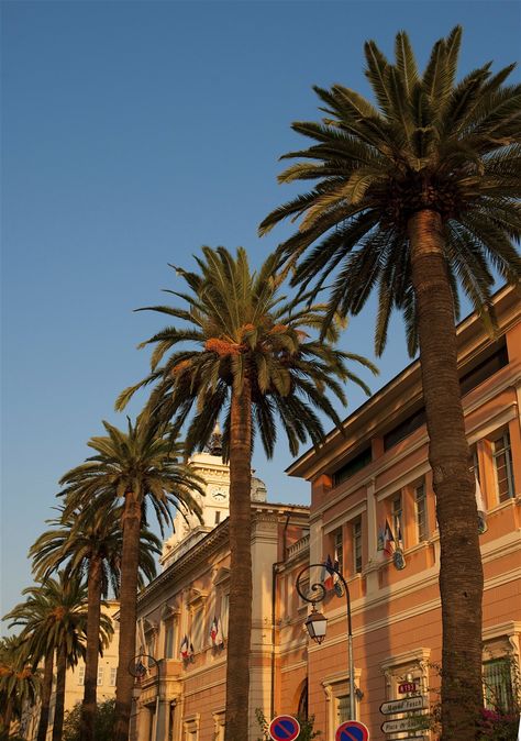 Ajaccio Corsica, Waterfront Promenade, Mediterranean Holiday, French Island, The Spectre, Sea Island, Party People, Cote D’azur, Beautiful Scenery Nature