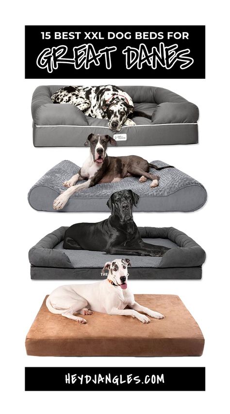 Best XXL Dog Beds for Great Danes - Featuring brands such as Big Barker, Bully Beds, The Dog's Bed, Furhaven, Petfusion and more! #greatdane #giantbreed #bigdog #petbed Great Dane Dog Bed Ideas, Best Dog Beds For Large Dogs, Xxl Dog Bed, Great Dane Bed Ideas, Great Dane Dog Bed, Great Dane Bed, Xl Dog Bed, Giant Dog Beds, Pet Beds For Dogs