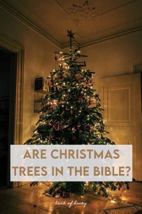 Christmas Tree Christian, Bible Study Christmas, Tree Bible Verse, Christian Tree, Christian Christmas Tree, Christmas Bible Study, Tree Meanings, Bible Food, Bible Christmas