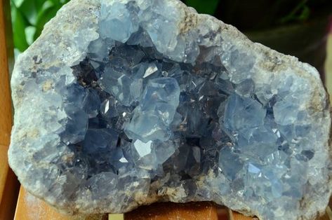 Celestite Geode/Large Celestite Cluster Druzy/Minerals Specimens/Blue Crystal Quartz/Celestine/Healing Crystal CG704001 Blue Celestite, Geode Stone, The Gift Of Prophecy, Crystal Vibes, Crystal Aesthetic, Grayish Blue, Gem Shop, Blue Calcite, Crystal Healing Stones