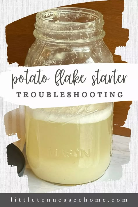 Potato Flake Sourdough Starter Troubleshooting - Little Tennessee Home Sourdough Starter Recipe With Potato Flakes, Potato Flake Sourdough Starter, Dough Starter Recipe, Sourdough Bread Starter, Dough Starter, Sourdough Starter Discard Recipe, Instant Potatoes, Instant Mashed Potatoes, Potato Flakes