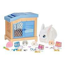 Bunny Hutch, Little Live Pets, Surprise Box Gift, Pet 1, Holiday Toys, Rock N’roll, Bunny Toys, 3rd Baby, Baby Bunnies