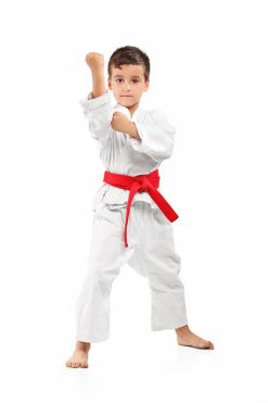 Picture Karate Picture, Karate Photos, Taekwondo Kids, Martial Arts Photography, Kids Karate, Martial Arts Kids, Tae Kwon Do, Karate Martial Arts, Events Activities