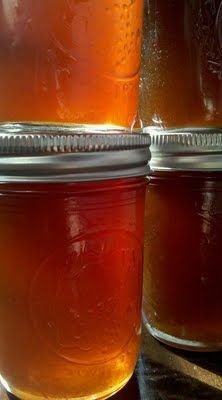 Pear Honey :9 Pear Recipes For Canning, Pear Syrup Recipe, Pear Jelly Recipes, Pear Recipes Easy, Crab Apple Jelly, Pear Honey, Canning Pears, Pressure Canning Recipes, Canning Fruit