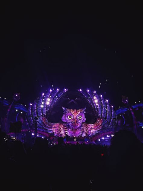 Edc Wallpaper, Edc Mexico, True Love, Vision Board, Dj, Ios, Wallpapers, Festival, Bar