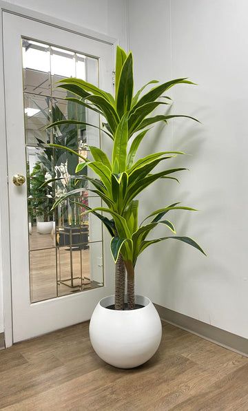 A local store specialize in high quality artificial plants for local wholesalers and retailers in Canada. Famous for quality and competitive price, WAYSAVING only supplies the most realistic artificial products to our customers. Artificial Plants Decor, Vertical Garden Indoor, Yucca Plant, Fake Plants Decor, Household Plants, Corner Space, Living Room Plants, Artificial Potted Plants, Plant Decor Indoor