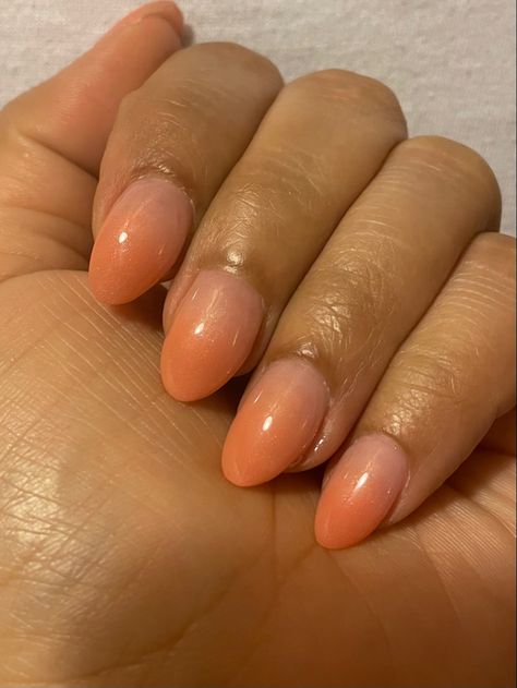 Left hand with almond shaped acrylic nails, short in length, ombré coloring from a natural pink at the cuticle to light peach at the tips Peach Colour Nails, Color Durazno, Almond Acrylic, Peach Colour, Light Peach, Best Acrylic Nails, Style Board, Nail Inspo, Pink And Orange