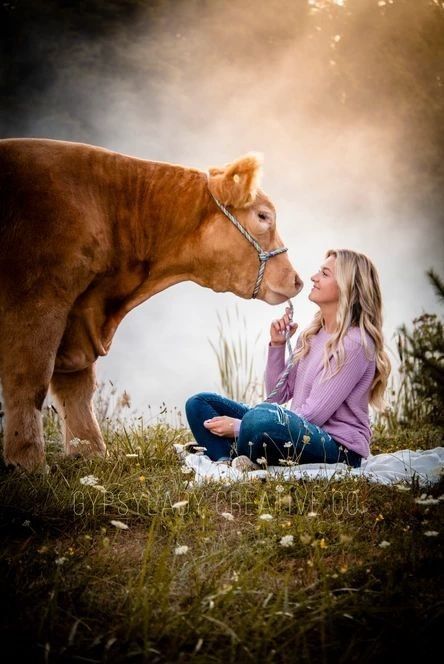 Steer Senior Pictures, Senior Pictures With Steer, Steer Photoshoot, Senior Picture Ideas With Show Cattle, Livestock Show Outfits Cattle, Senior Picture Ideas Cows, Cow Photoshoot Picture Ideas, Senior Pictures With Animals, Cattle Senior Pictures